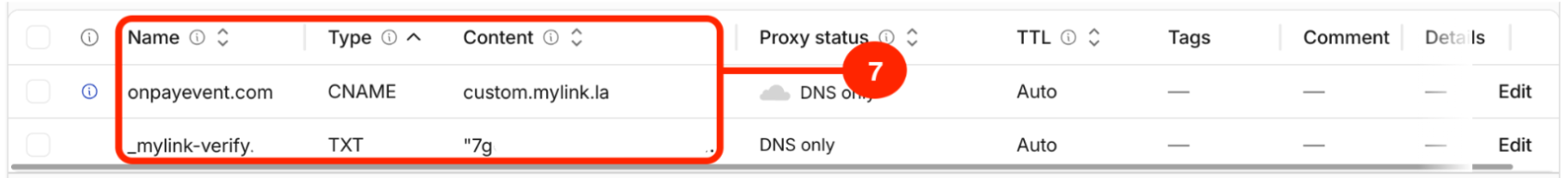 DNS records in domain provider