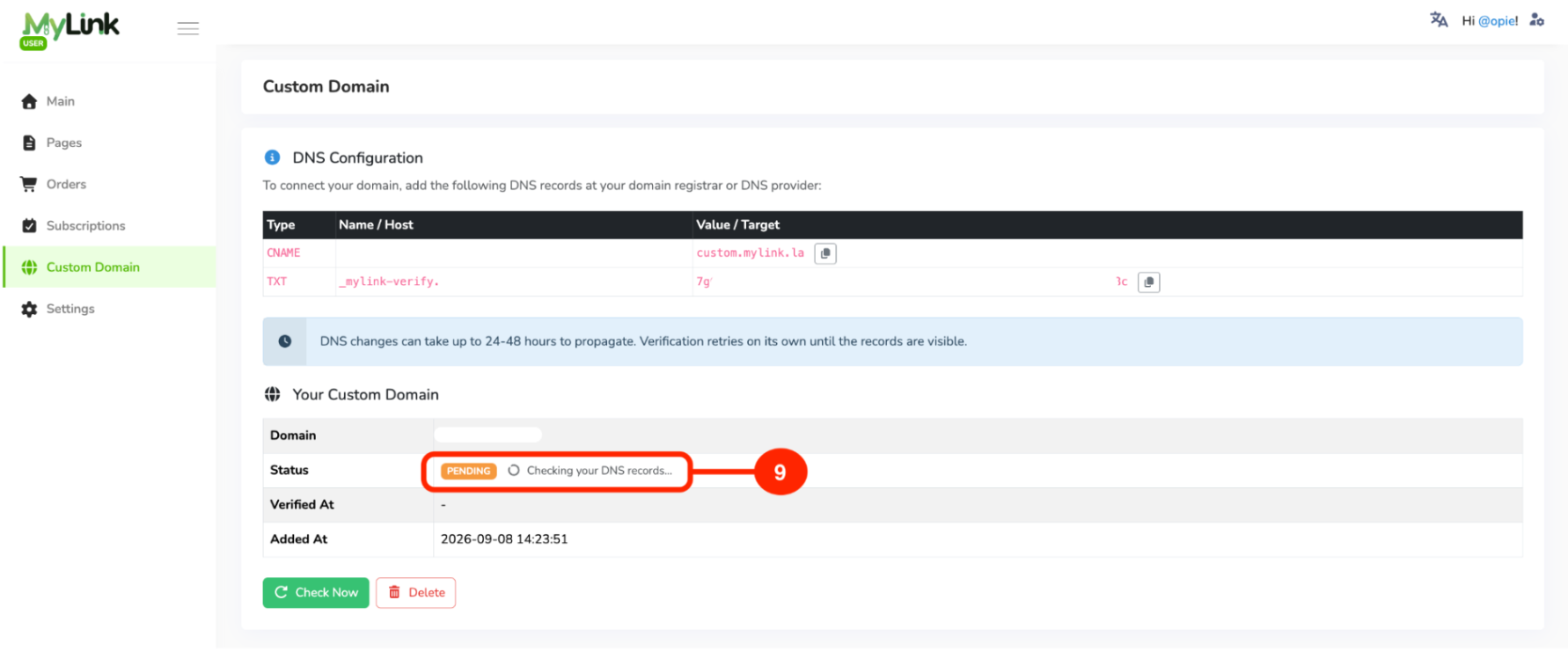 Domain status checking