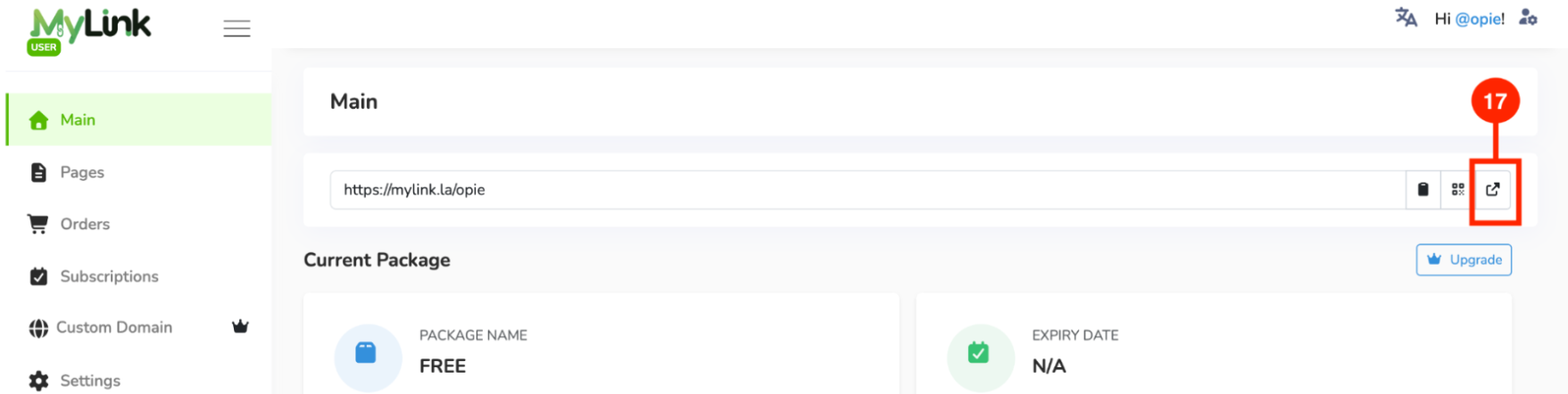 Preview button